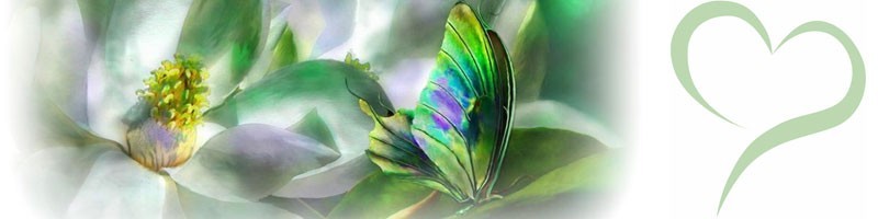 Energi-terapeuterna